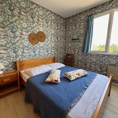 Lejlighed - 5 Personnes Avec Balcon Et Acces Direct A La Plage - Fr-1-540-199